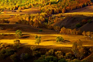 河北多彩坝上风景图片第张