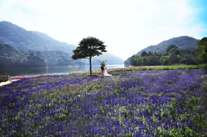 广东从化石门国家森林公园风景图片第张