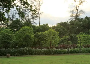 广东湛江渔港公园风景图片第张