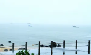 广东湛江中澳友谊花园风景图片第张