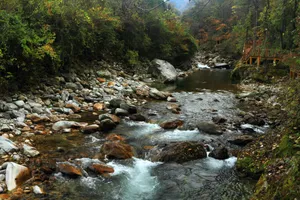 陕西黄柏塬风景图片第张