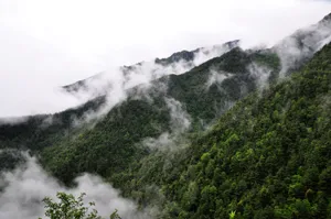 云南苍山风景图片第张