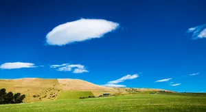 新西兰布兰尼姆风景图片第张