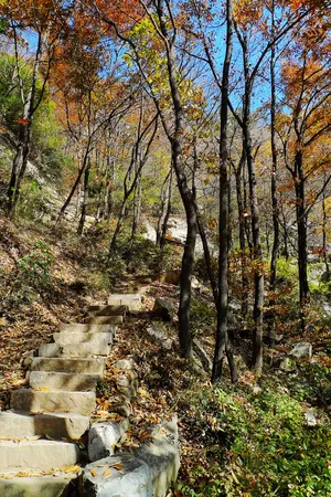 陕西长安净业寺风景图片第张