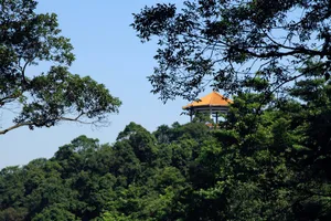 广东广州帽峰山风景图片第张