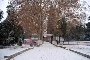 河南崇法寺风景图片第张