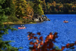 加拿大枫叶风景图片第张