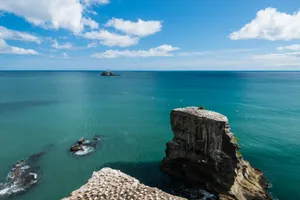 新西兰奥克兰鸟岛风景图片第张