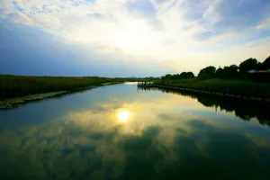 江苏苏州太湖湿地风景图片第张