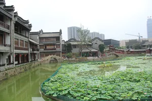 四川成都龙潭水乡风景图片第张