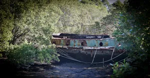 澳大利亚悉尼砖坑风景图片第张