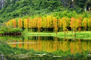 云南普者黑绝美风景图片第张