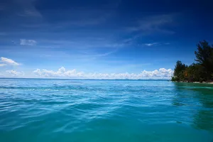 马来西亚亚庇美人鱼岛风景图片第张