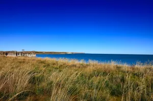 内蒙古呼伦湖风景图片第张