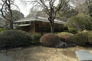 绿意盎然的新宿御苑图片第张