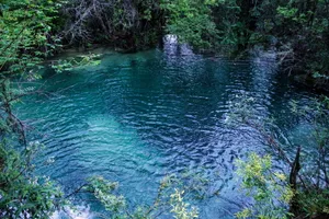 四川九寨熊猫海风景图片第张