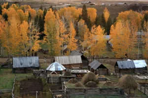 新疆阿勒泰白哈巴风景图片第张
