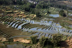 云南元阳老虎嘴梯田风景图片第张