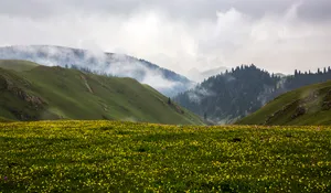 新疆伊犁阔克角塔风景图片第张