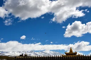 四川甘孜雅拉雪山风景图片第张
