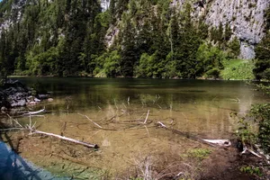 四川九寨天鹅海风景图片第张
