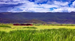 云南拉市海湿地风景图片第张