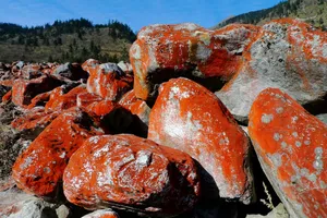 四川雅家埂风景图片第张