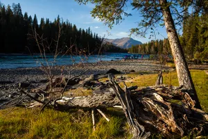 新疆阿勒泰喀纳斯湖风景图片第张