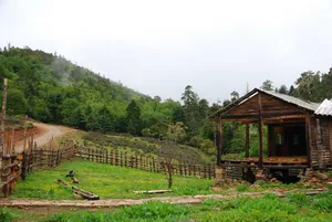 云南丽江老君山风景图片第张