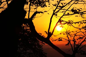 湖南苏仙岭落日风景图片第张