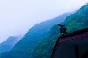 重庆神龙峡风景图片第张