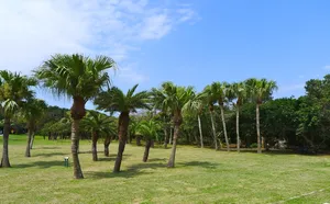 台湾鹅銮鼻风景图片第张