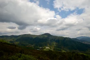 江西婺源江岭风景图片第张