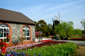 上海鲜花港风景图片第张