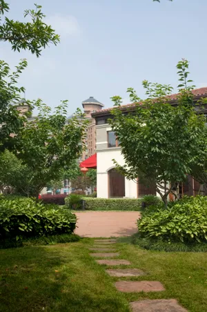 上海新金桥公园风景图片第张