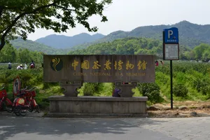 浙江杭州龙井村风景图片第张