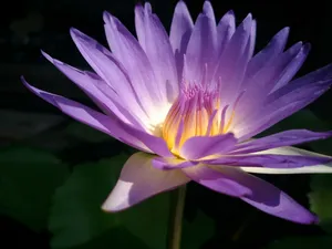 越南风景图片第张