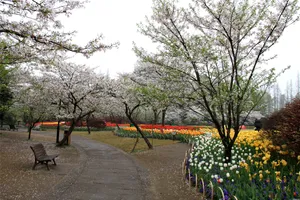 杭州太子湾公园美景图片第张
