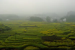 安徽绩溪家朋乡风景图片第张