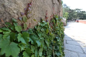 天津盘山风景图片第张