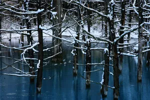 日本最美村庄美瑛町图片第张