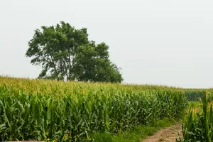 黑龙江哈尔滨郊外风景图片第张