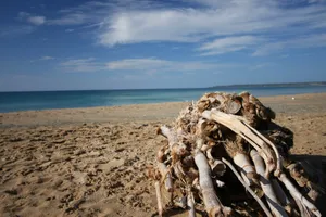 台湾垦丁优美风光图片第张