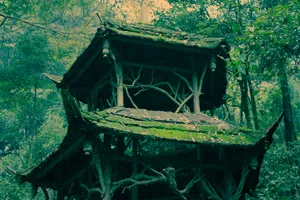 四川成都古朴风景图片第张