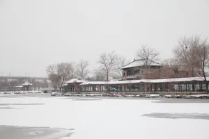 天津北宁公园雪景图片第张