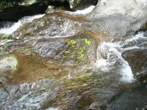 浙江临安天目山风景图片第张