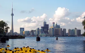 加拿大多伦多图片第张