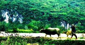 广东连南风景图片第张