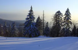 黑龙江海林二浪河雪景图片第张