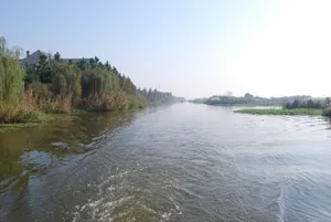 浙江德清下渚湖风景图片第张